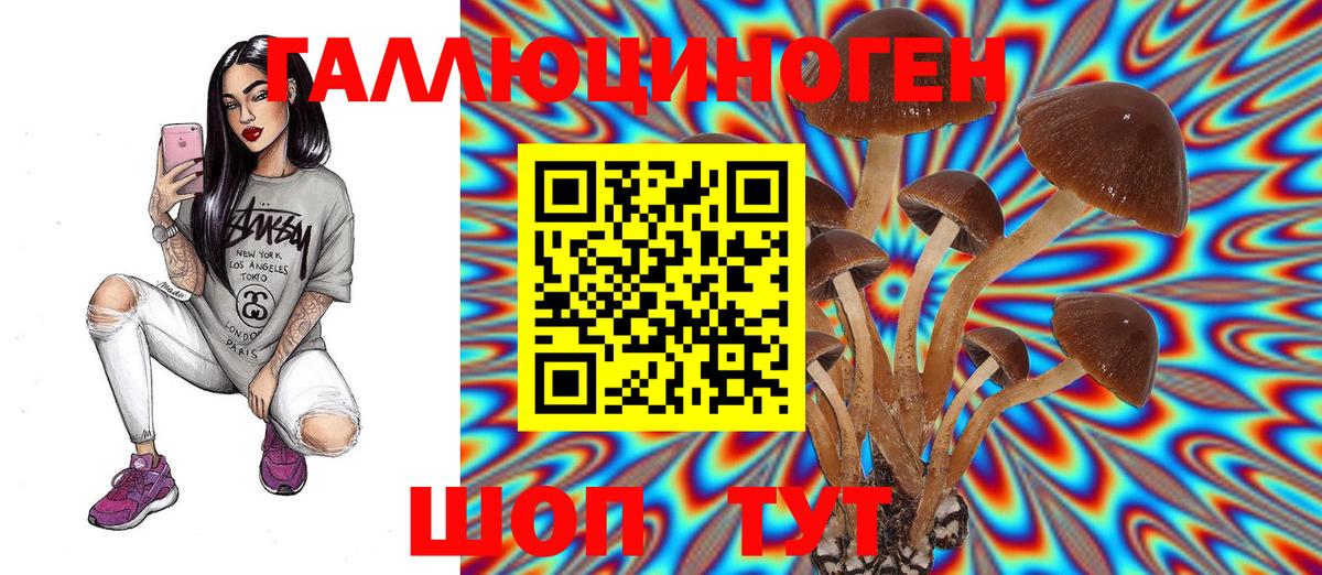 Жуковский  Псилоцибиновые грибы Psilocybe  где купить   Вход с VPN 