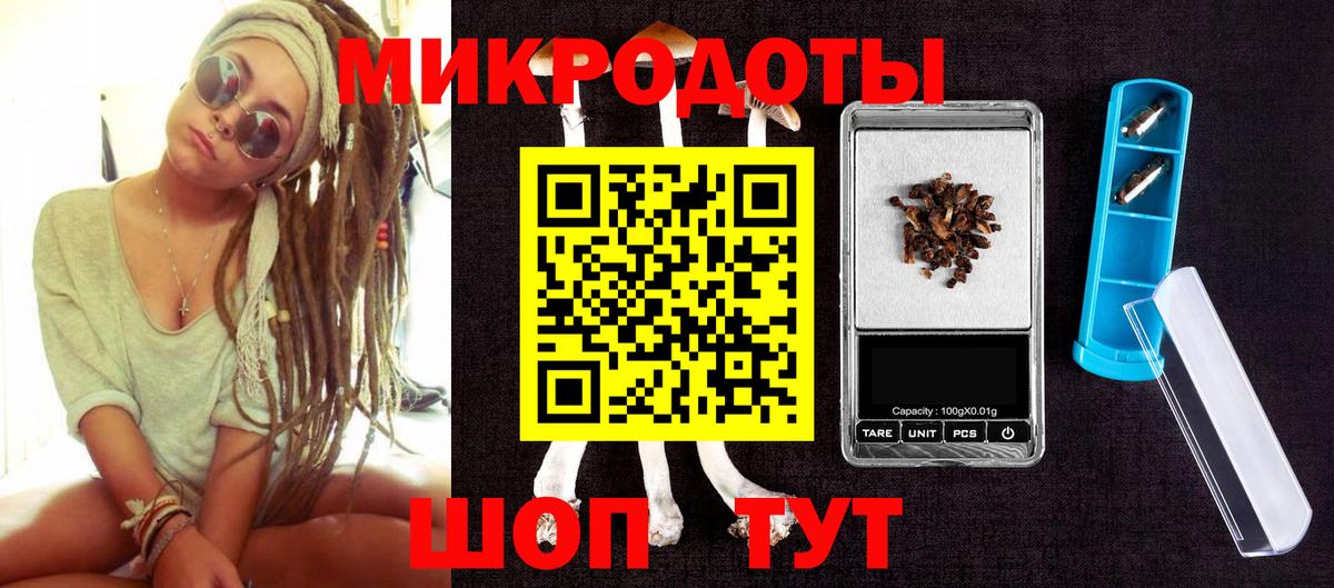 Галлюциногенные грибы Psilocybine cubensis Жуковский